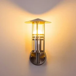 Applique Exterieure Forli Acier Inoxydable, Transparent, 1 Lumiere