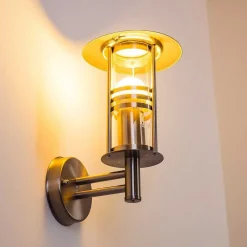 Applique Exterieure Forli Acier Inoxydable, Transparent, 1 Lumiere