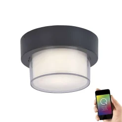 Applique Murale / Plafonnier Paul Neuhaus Q-Erik Led Blanc, 1 Lumiere, Detecteur De Mouvement, Telecommandes, Changeur De Couleurs