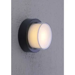 Applique Murale / Plafonnier Paul Neuhaus Q-Erik Led Blanc, 1 Lumiere, Detecteur De Mouvement, Telecommandes, Changeur De Couleurs