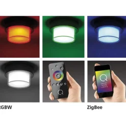 Applique Murale / Plafonnier Paul Neuhaus Q-Erik Led Blanc, 1 Lumiere, Detecteur De Mouvement, Telecommandes, Changeur De Couleurs