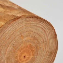 Applique Murale Canedo Brun, 1 Lumiere