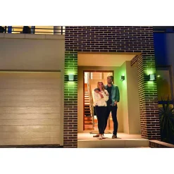 Applique Murale D'Exterieur Ledvance Smart+ Acier Brosse, 1 Lumiere