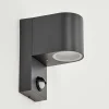Applique Murale D'Exterieur Kingstown Anthracite, Transparent, 1 Lumiere, Detecteur De Mouvement