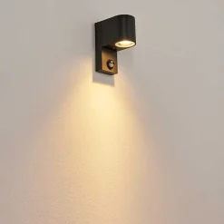 Applique Murale D'Exterieur Kingstown Anthracite, Transparent, 1 Lumiere, Detecteur De Mouvement