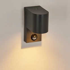 Applique Murale D'Exterieur Kingstown Anthracite, Transparent, 1 Lumiere, Detecteur De Mouvement