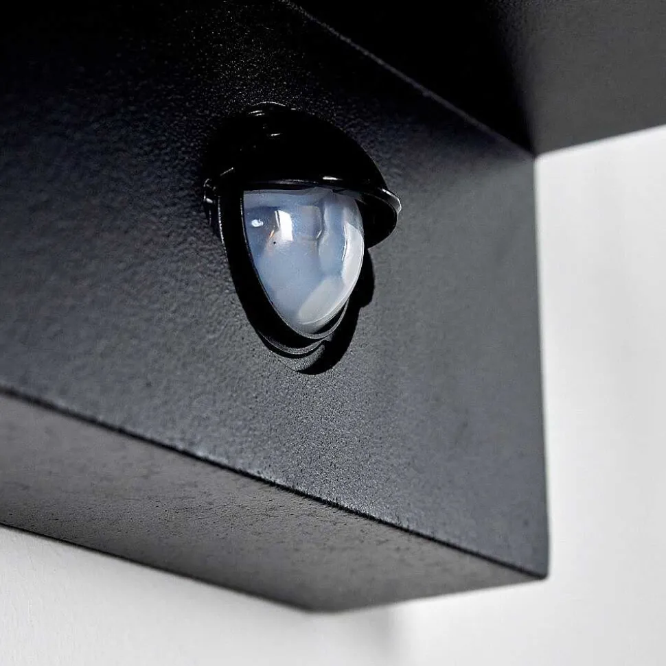 Applique Murale D'Exterieur Palanga Noir, 1 Lumiere, Detecteur De Mouvement