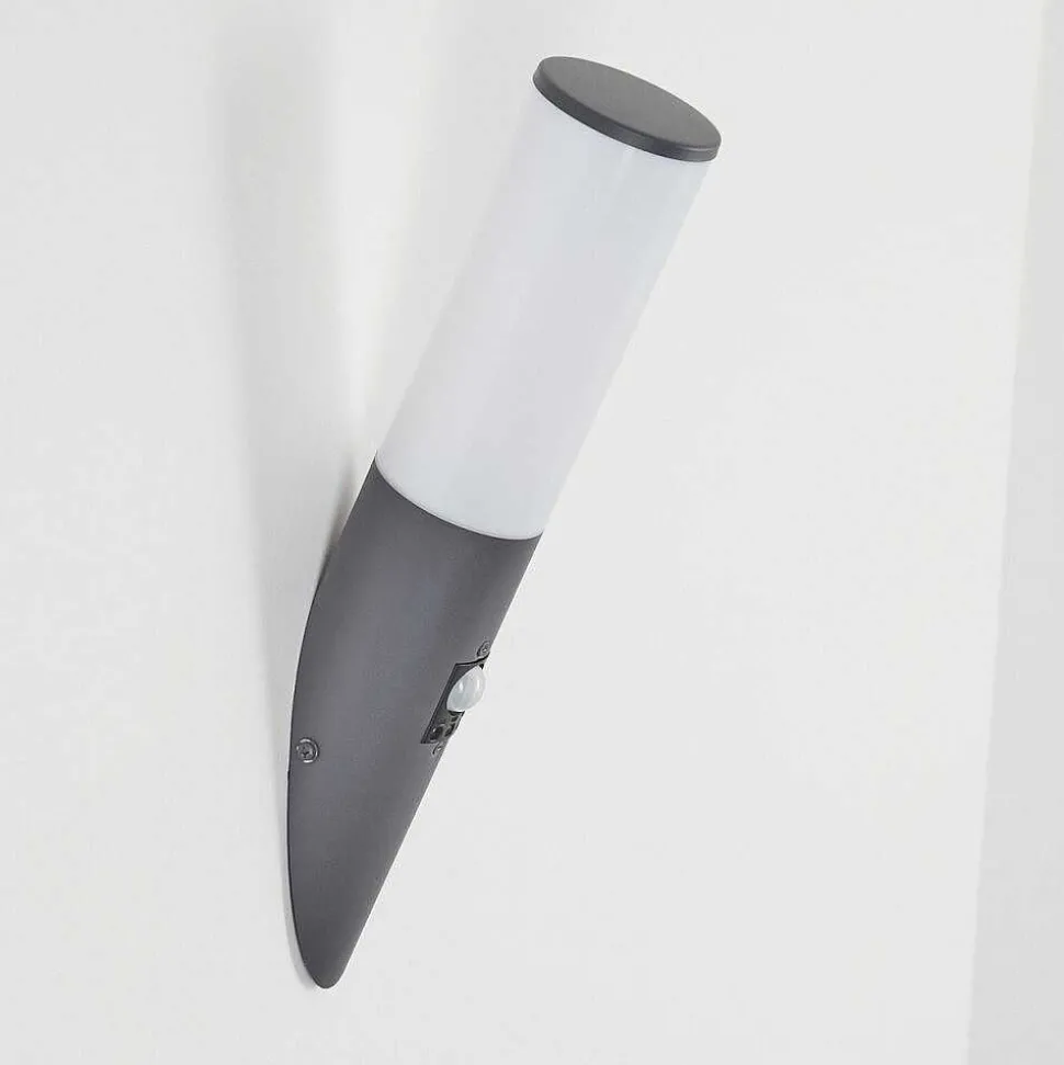 Applique Murale D'Exterieur Caserta Anthracite, 1 Lumiere, Detecteur De Mouvement