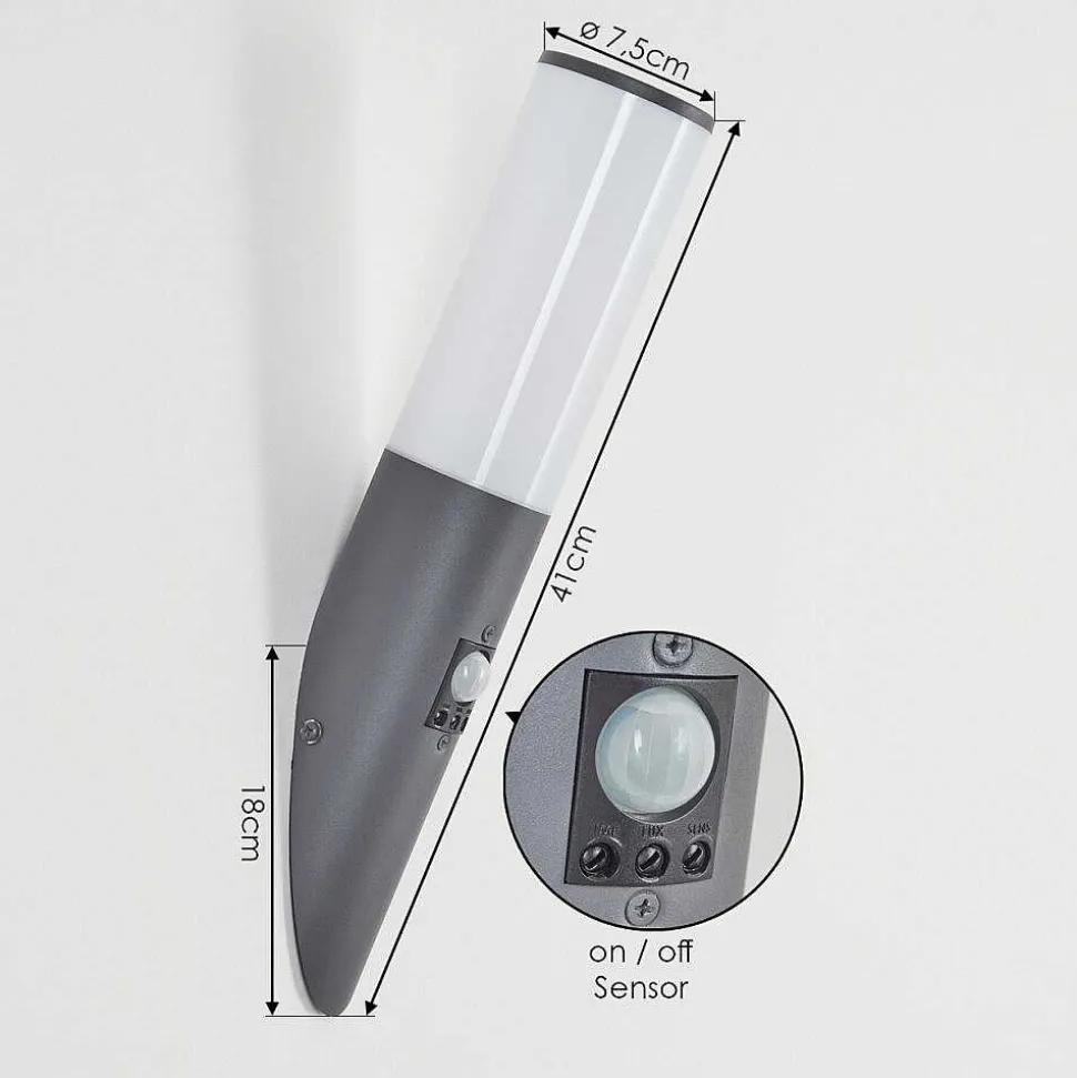 Applique Murale D'Exterieur Caserta Anthracite, 1 Lumiere, Detecteur De Mouvement