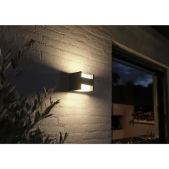 Applique Murale D'Exterieur Philips Hue White Fuzo Led Noir, 1 Lumiere