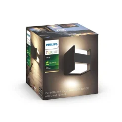Applique Murale D'Exterieur Philips Hue White Fuzo Led Noir, 1 Lumiere