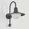 Applique Murale D'Exterieur Pohei Anthracite, 1 Lumiere, Detecteur De Mouvement
