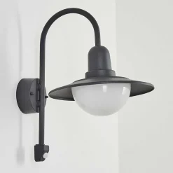 Applique Murale D'Exterieur Pohei Anthracite, 1 Lumiere, Detecteur De Mouvement