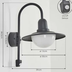 Applique Murale D'Exterieur Pohei Anthracite, 1 Lumiere, Detecteur De Mouvement