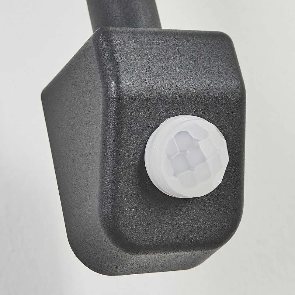 Applique Murale D'Exterieur Pohei Anthracite, 1 Lumiere, Detecteur De Mouvement