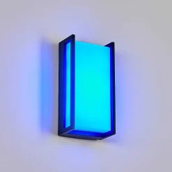 Applique Murale D'Exterieur Skove Led Anthracite, 1 Lumiere, Changeur De Couleurs