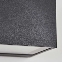 Applique Murale D'Exterieur Spidern Led Anthracite, 1 Lumiere, Changeur De Couleurs