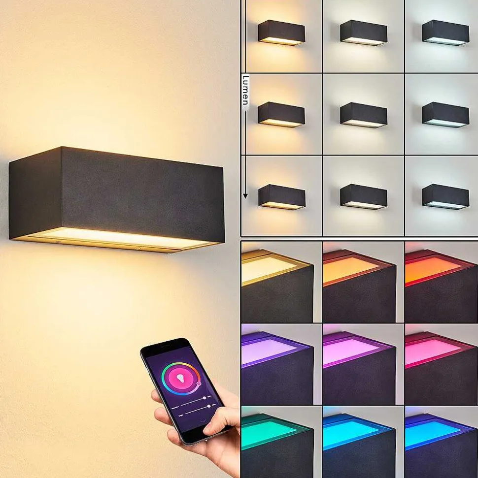 Applique Murale D'Exterieur Spidern Led Anthracite, 1 Lumiere, Changeur De Couleurs