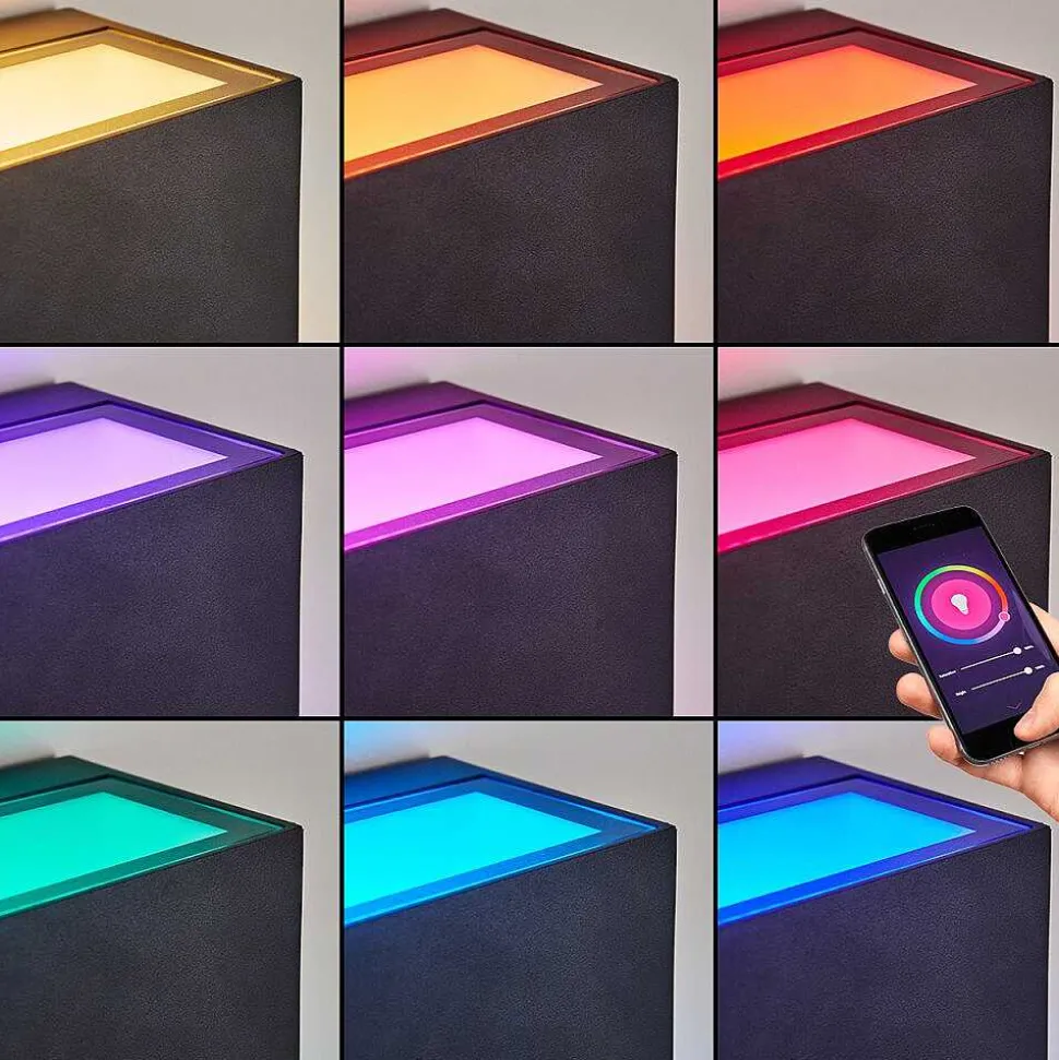 Applique Murale D'Exterieur Spidern Led Anthracite, 1 Lumiere, Changeur De Couleurs