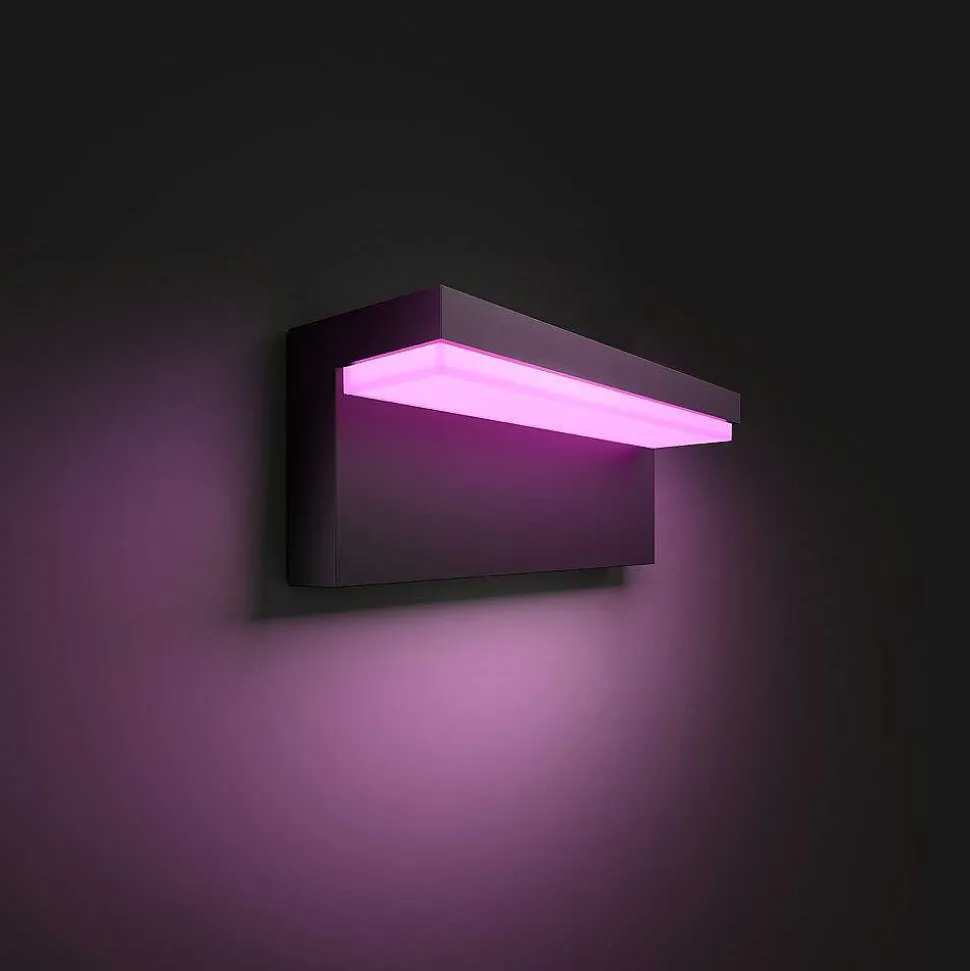 Applique Murale D'Exterieur Philips Hue Nyro Led Noir, 1 Lumiere, Changeur De Couleurs