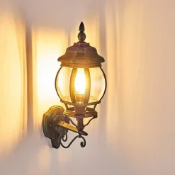 Applique Murale D'Exterieur Lentua Vert, Noir, 1 Lumiere