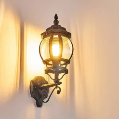 Applique Murale D'Exterieur Lentua Vert, Noir, 1 Lumiere