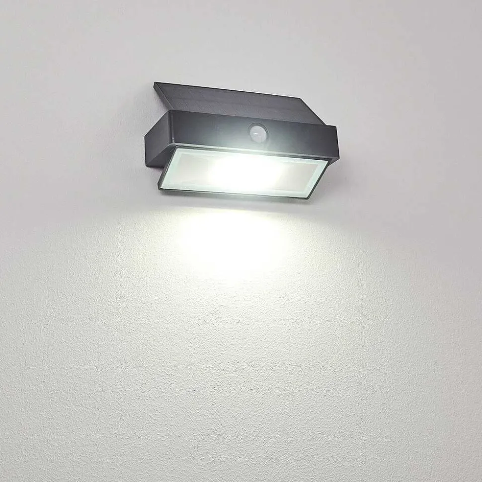 Applique Murale D'Exterieur Wiborg Led Anthracite, 1 Lumiere, Detecteur De Mouvement