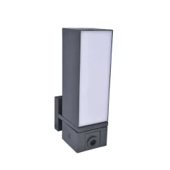 Applique Murale D'Exterieur Lutec Cuba Led Anthracite, 1 Lumiere, Detecteur De Mouvement