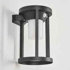 Applique Murale D'Exterieur Lokpano Led Noir, 1 Lumiere, Detecteur De Mouvement, Changeur De Couleurs