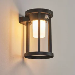 Applique Murale D'Exterieur Lokpano Led Noir, 1 Lumiere, Detecteur De Mouvement, Changeur De Couleurs