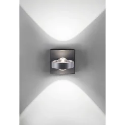 Applique Murale Paul Neuhaus Q-Mia Led Anthracite, 2 Lumieres, Telecommandes