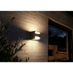 Applique Murale Philips Hue White Fuzo Led Noir, 1 Lumiere