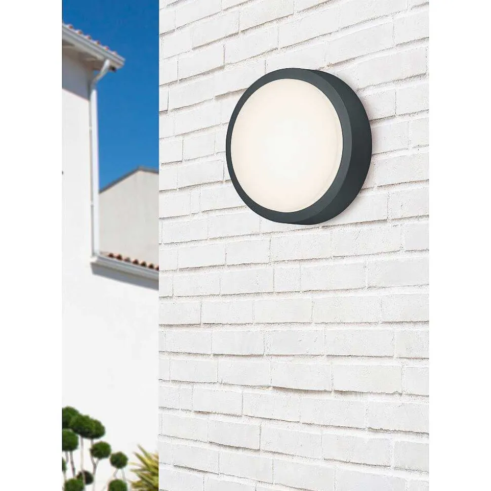 Applique Murale Trio Breg Led Anthracite, 1 Lumiere