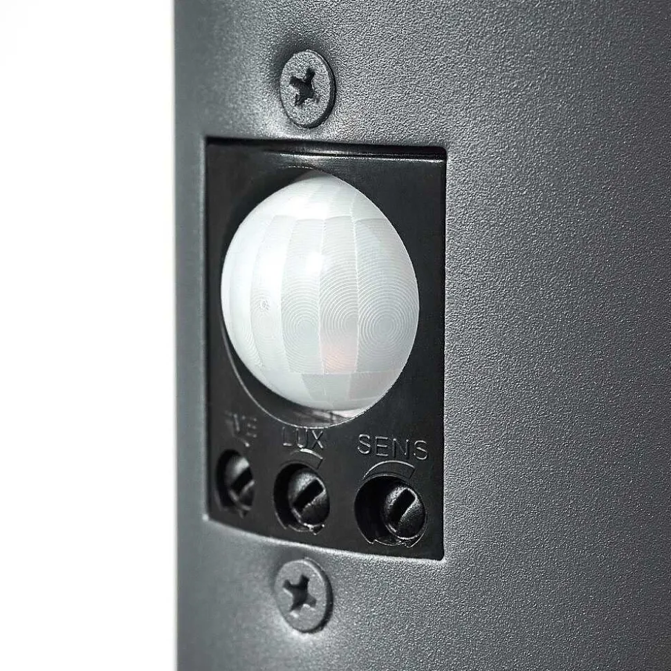 Borne Lumineuse Gaborone Anthracite, 1 Lumiere, Detecteur De Mouvement