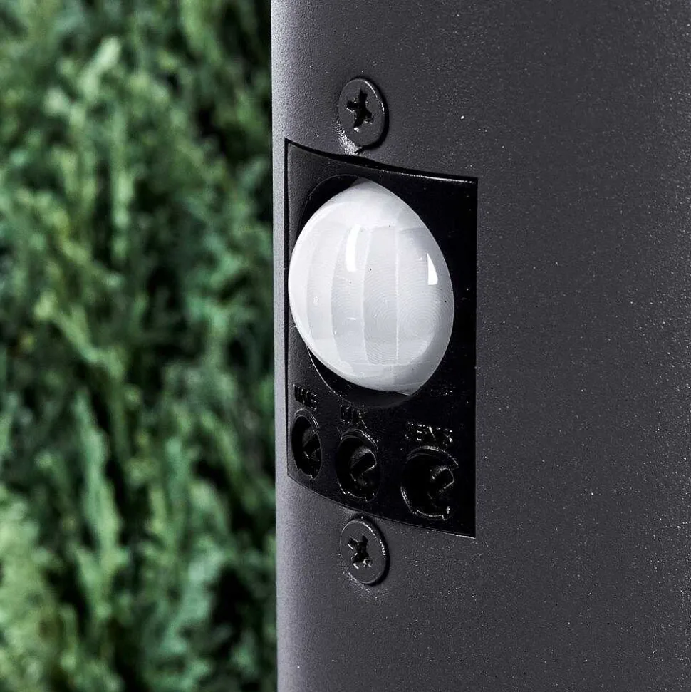 Borne Lumineuse Gaborone Anthracite, 1 Lumiere, Detecteur De Mouvement