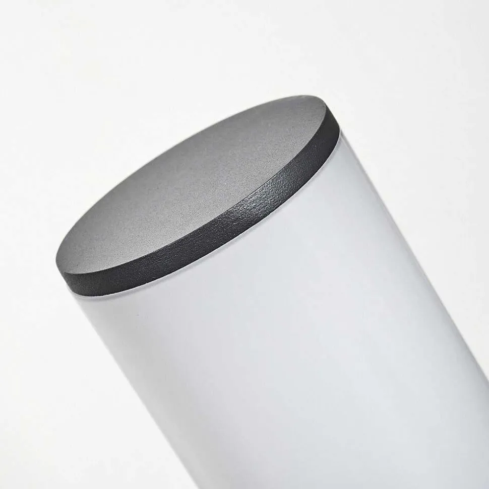 Borne Lumineuse Home Led Anthracite, 1 Lumiere