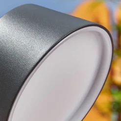 Borne Lumineuse Moroni Led Anthracite, 1 Lumiere