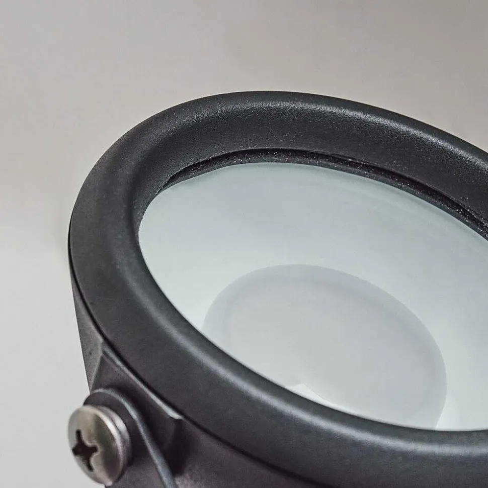 Borne Lumineuse Sempach Led Noir, 1 Lumiere, Changeur De Couleurs