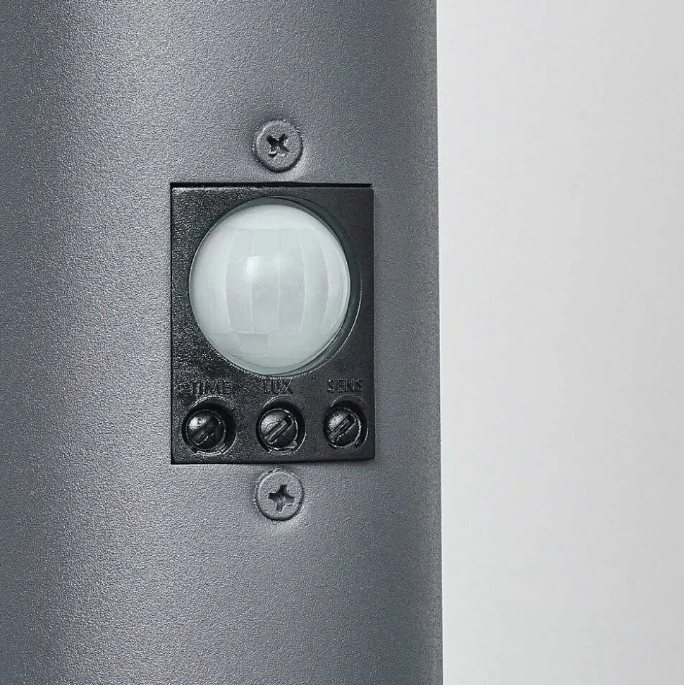 Borne Lumineuse Sessa Anthracite, 1 Lumiere, Detecteur De Mouvement