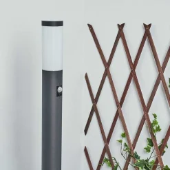 Borne Lumineuse Sessa Anthracite, 1 Lumiere, Detecteur De Mouvement