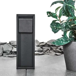 Collonette Des Prises Papacal Noir