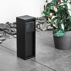 Collonette Des Prises Papacal Noir