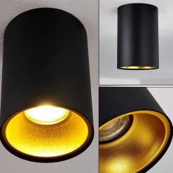 Downlight Grenada Noir, Noir Dore, 1 Lumiere