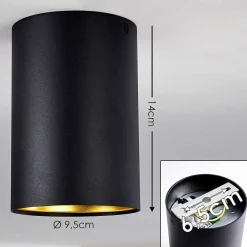 Downlight Grenada Noir, Noir Dore, 1 Lumiere