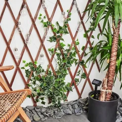 Guirlande Lumineuse Solaire Markhus Led Transparent, 10 Lumieres