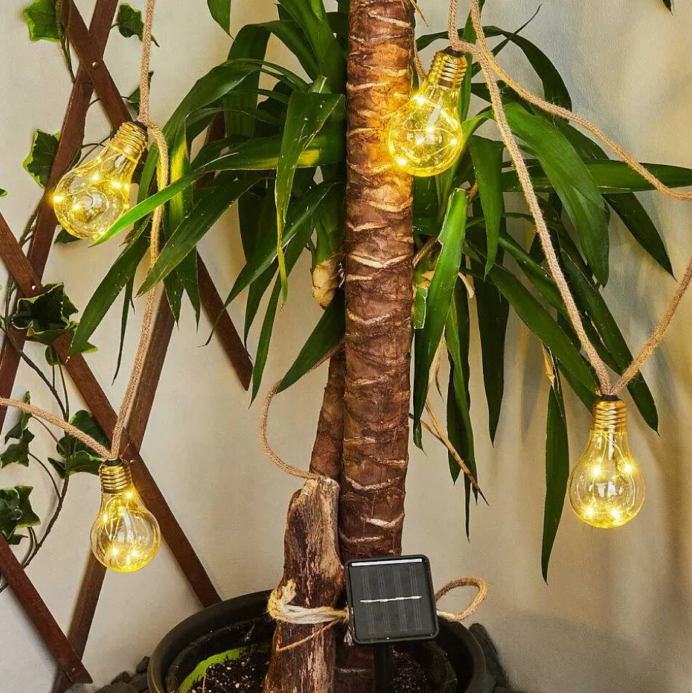 Guirlande Lumineuse Solaire Trygsland Led Brun, 50 Lumieres