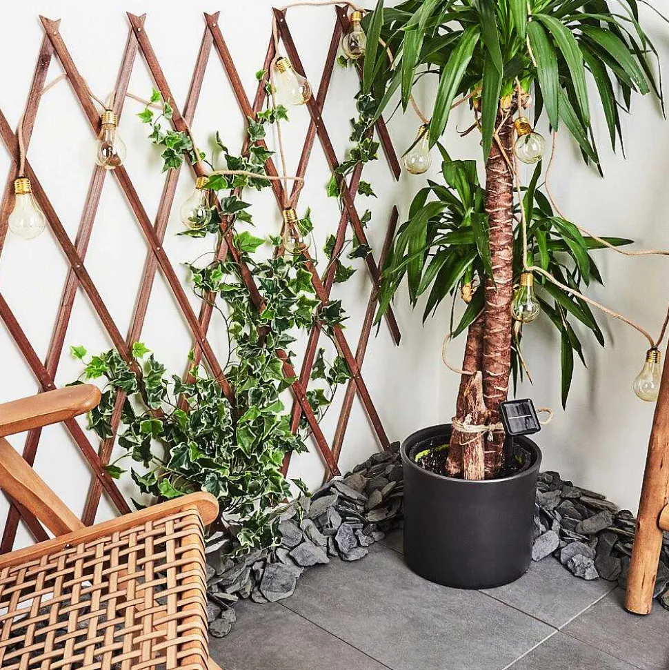 Guirlande Lumineuse Solaire Trygsland Led Brun, 50 Lumieres