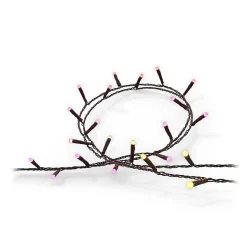 Guirlande Philips Hue Festavia Led Noir, 500 Lumieres, Changeur De Couleurs