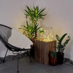 Guirlande Solaire Pistoia Led Blanc, 120 Lumieres