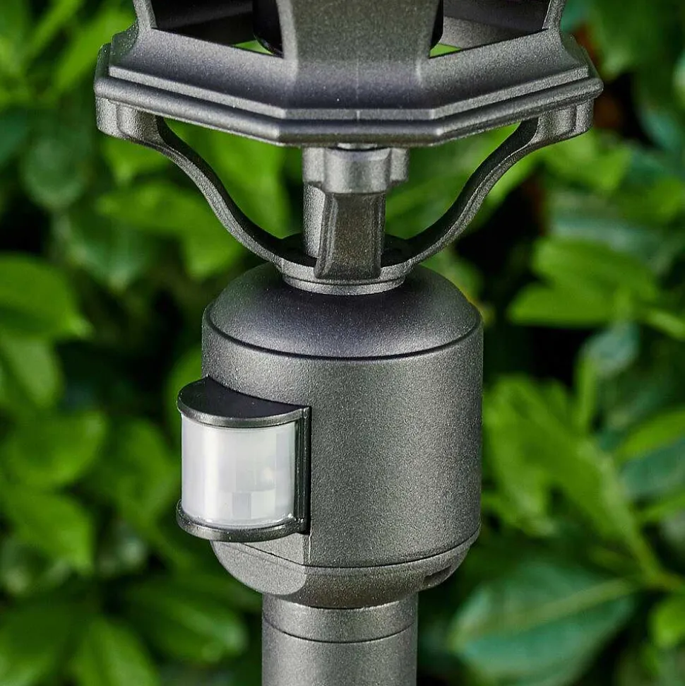 Lampadaire Exterieur Lentua Noir, 1 Lumiere, Detecteur De Mouvement